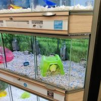 Petco ico