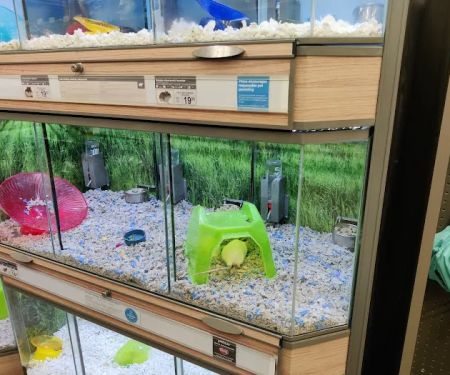 Petco