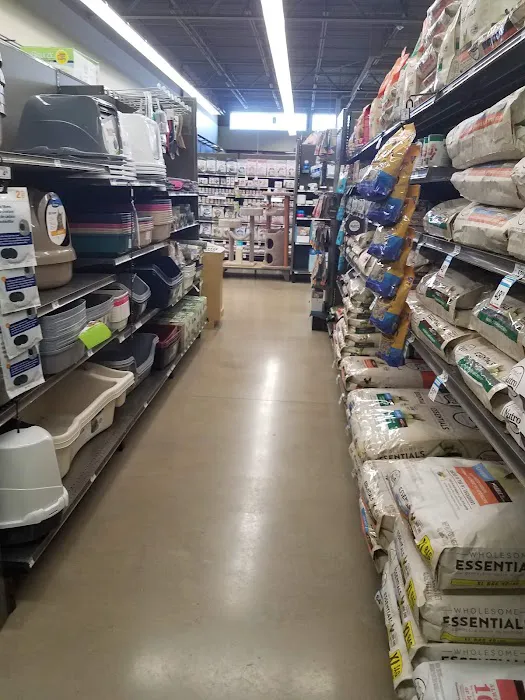 Petco Picture 8