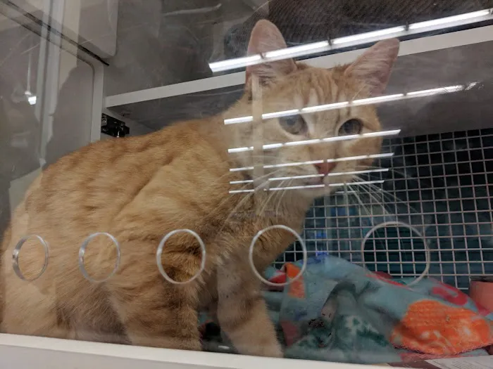 Petco Picture 5