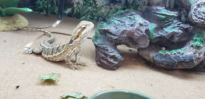 Petco Picture 10