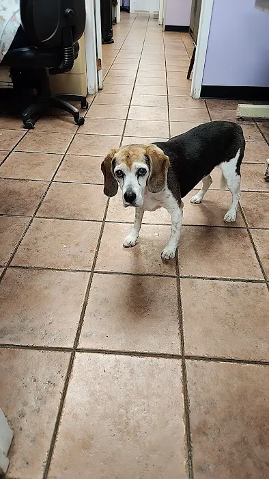 Twin Oak Animal Hospital Picture 5