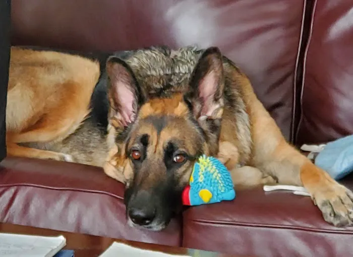 Brookeville Animal Hospital Picture 2