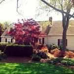Brookeville Animal Hospital