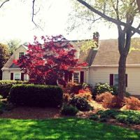 Brookeville Animal Hospital ico