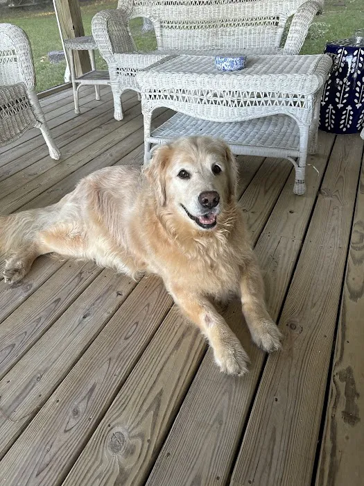 Brookeville Animal Hospital Picture 5