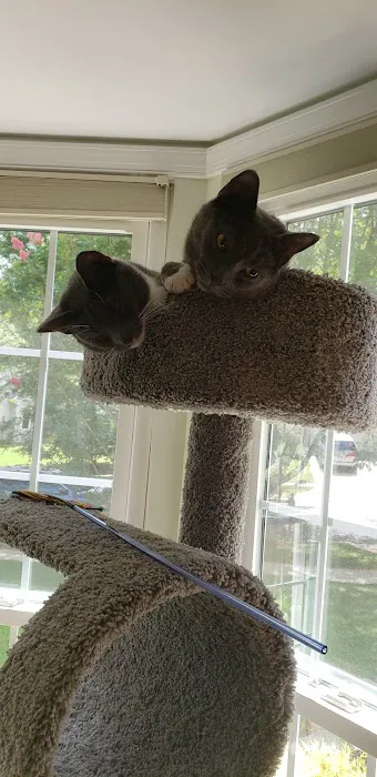 Brookeville Animal Hospital Picture 9