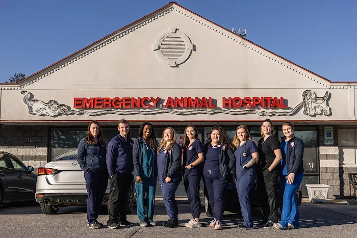 Emergency Animal Hospital of Ellicott City Picture 3