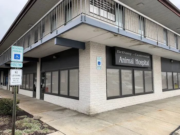 Bethany Centennial Animal Hospital Picture 2