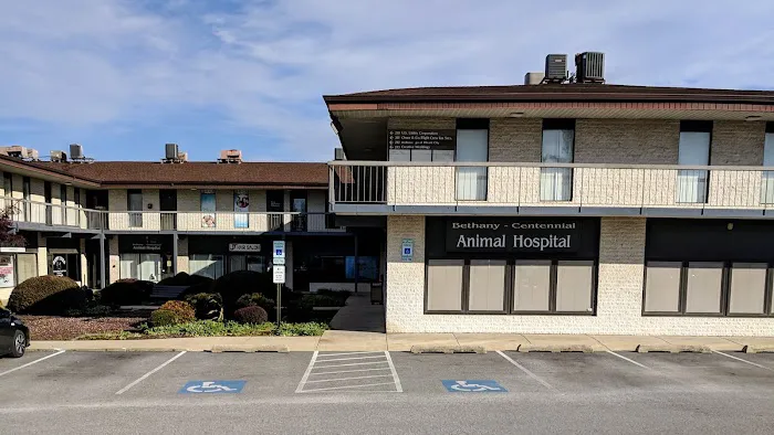 Bethany Centennial Animal Hospital Picture 4