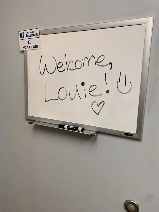 VCA Lewis Animal Hospital Picture 1