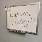 VCA Lewis Animal Hospital