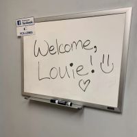 VCA Lewis Animal Hospital ico