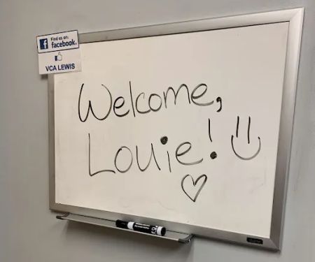VCA Lewis Animal Hospital