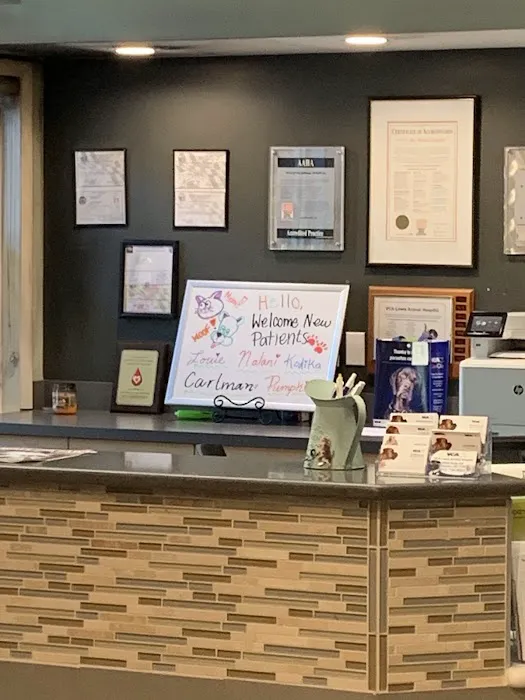 VCA Lewis Animal Hospital Picture 8