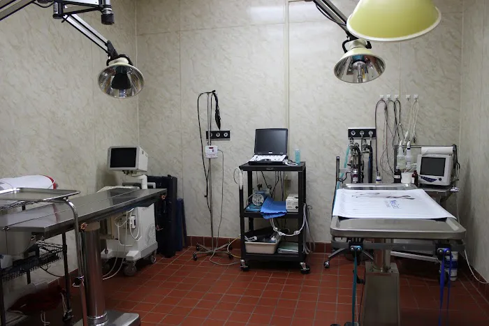 Dunloggin Veterinary Hospital Picture 5