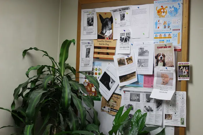 Dunloggin Veterinary Hospital Picture 8