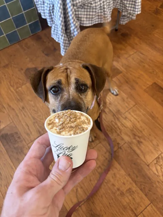 Lucky Pup Dog Shop Picture 1