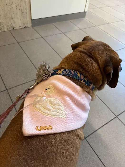 Lucky Pup Dog Shop Picture 2