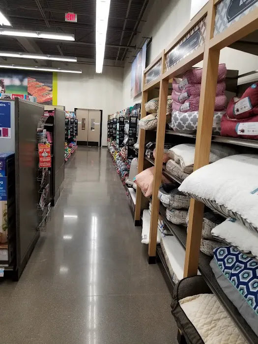 Petco Picture 3
