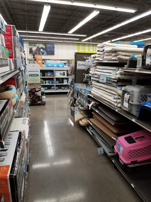 Petco Picture 8