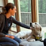 HomeVets & HomeVets Patapsco Valley