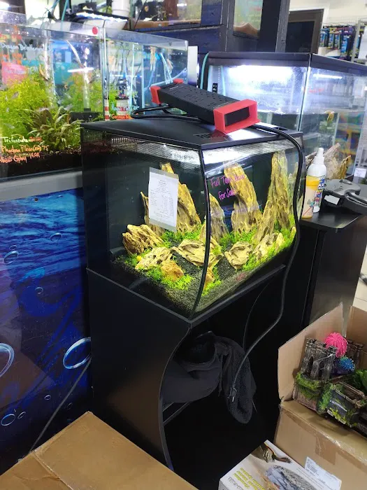 Fish Paradise, LLC Picture 1