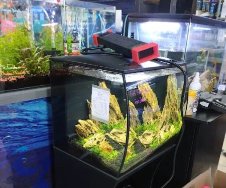 Fish Paradise, LLC