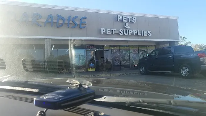 Fish Paradise, LLC Picture 2