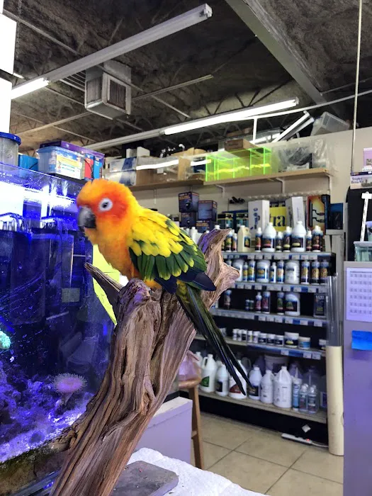 Fish Paradise, LLC Picture 3