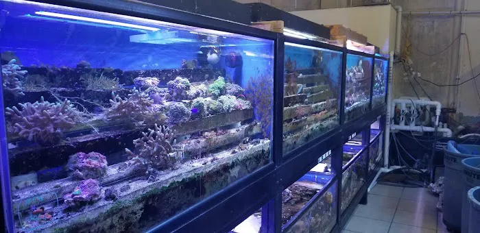 Fish Paradise, LLC Picture 5