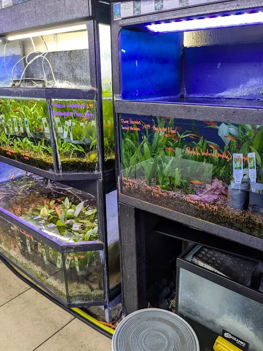 Fish Paradise, LLC Picture 6