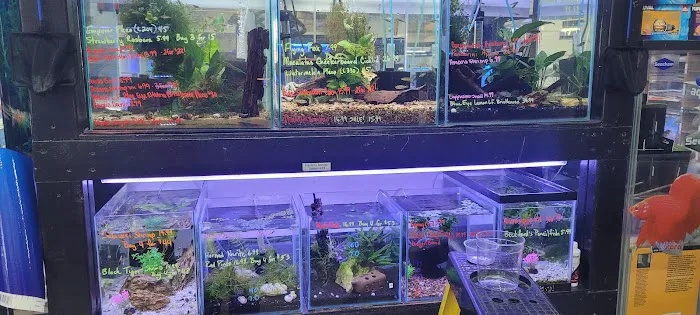 Fish Paradise, LLC Picture 9