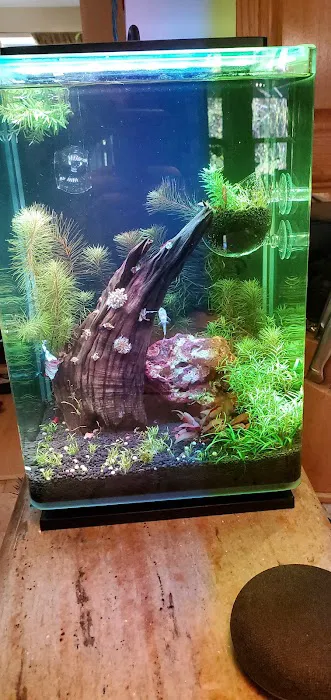 Fish Paradise, LLC Picture 8