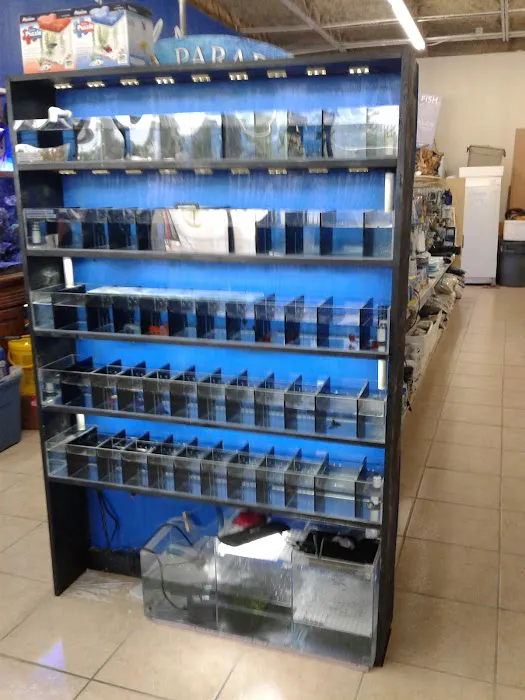 Fish Paradise, LLC Picture 10