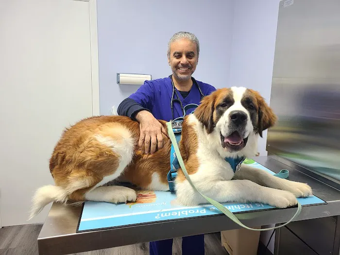 Howard County Animal Hospital Picture 1