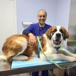 Howard County Animal Hospital