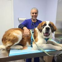 Howard County Animal Hospital ico