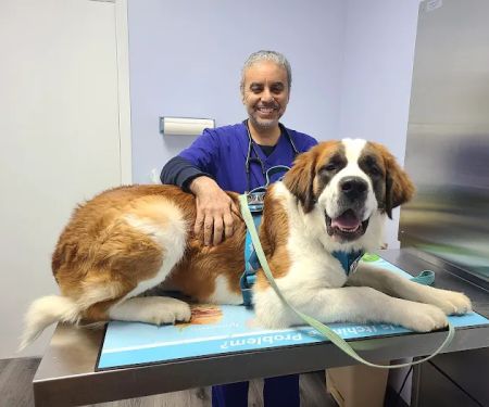 Howard County Animal Hospital