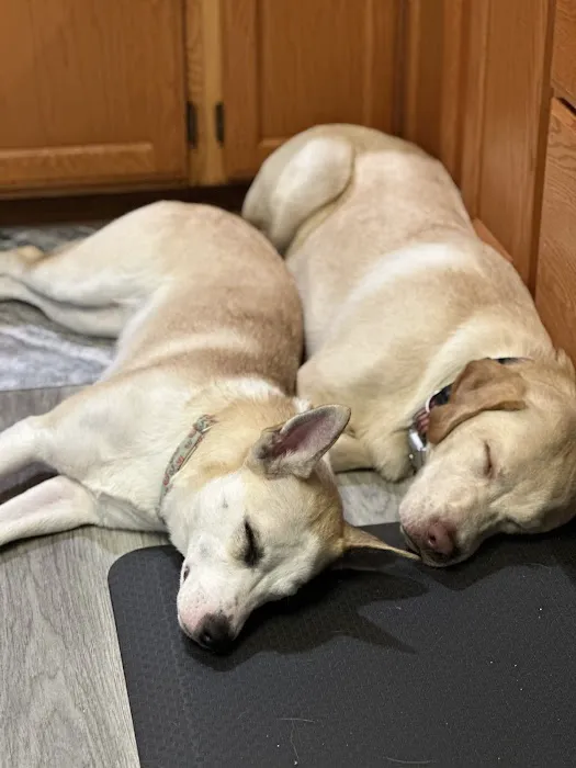 Howard County Animal Hospital Picture 5