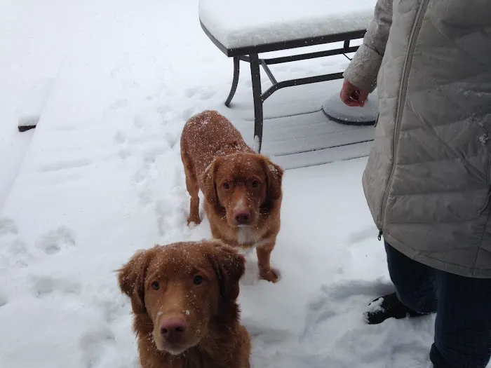 Howard County Animal Hospital Picture 9
