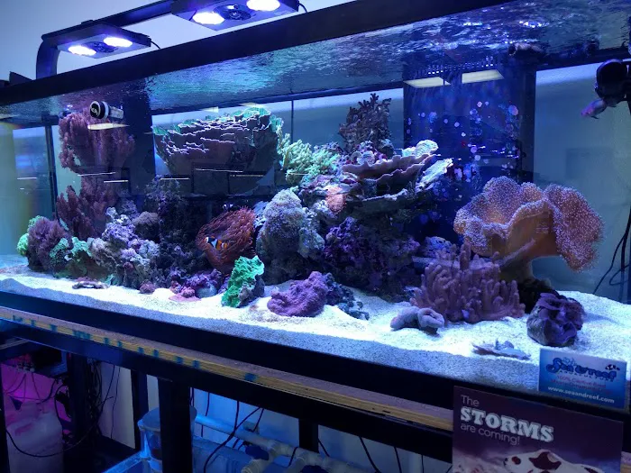 Frank's Tanks Picture 2