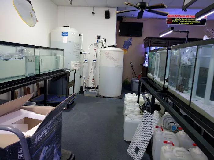 Frank's Tanks Picture 8