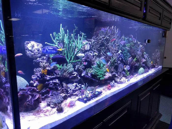 Frank's Tanks Picture 9