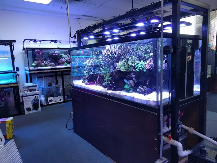 Frank's Tanks Picture 7
