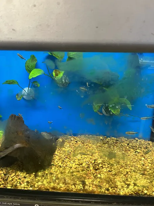 Petco Picture 3