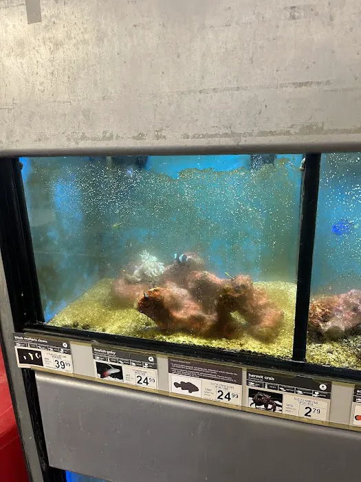 Petco Picture 2
