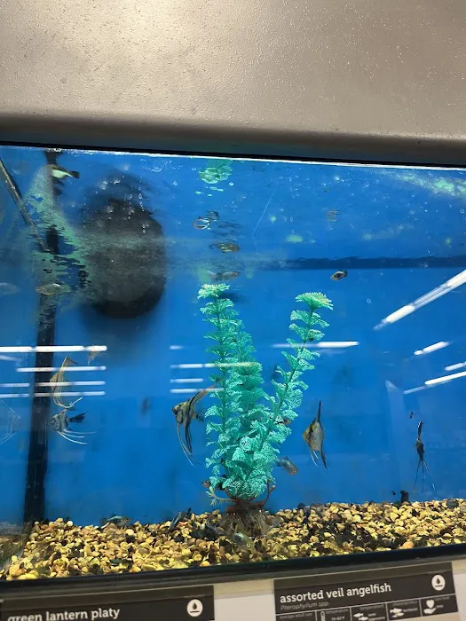 Petco Picture 1