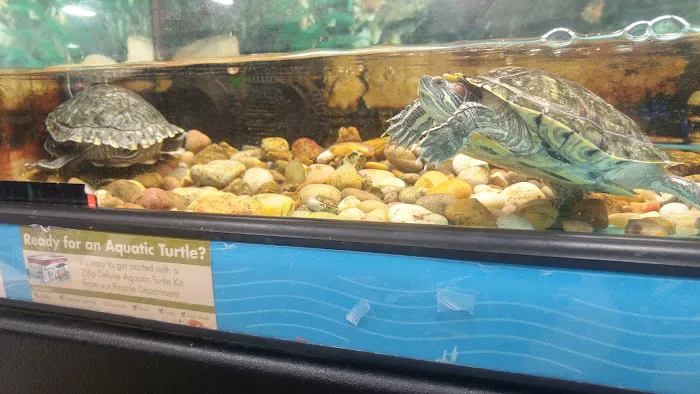 Petco Picture 5