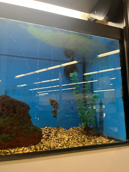 Petco Picture 4